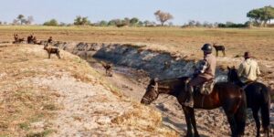 Dovolená na koni: Okavango Delta