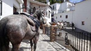 Dovolená na koni: Alpujarra Trail