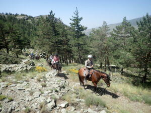 Dovolená na koni: Alpujarra Trail