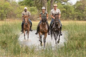 Dovolená na koni: Okavango Delta