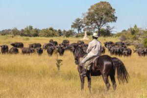 Dovolená na koni: Okavango Delta