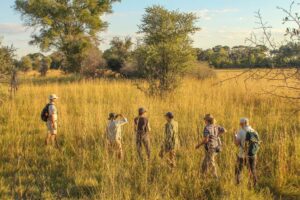 Dovolená na koni: Okavango Delta