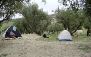 Dovolená na koni: Agadir Sable d´Or