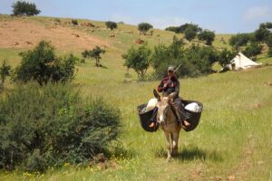 Dovolená na koni: Agadir Sable d´Or